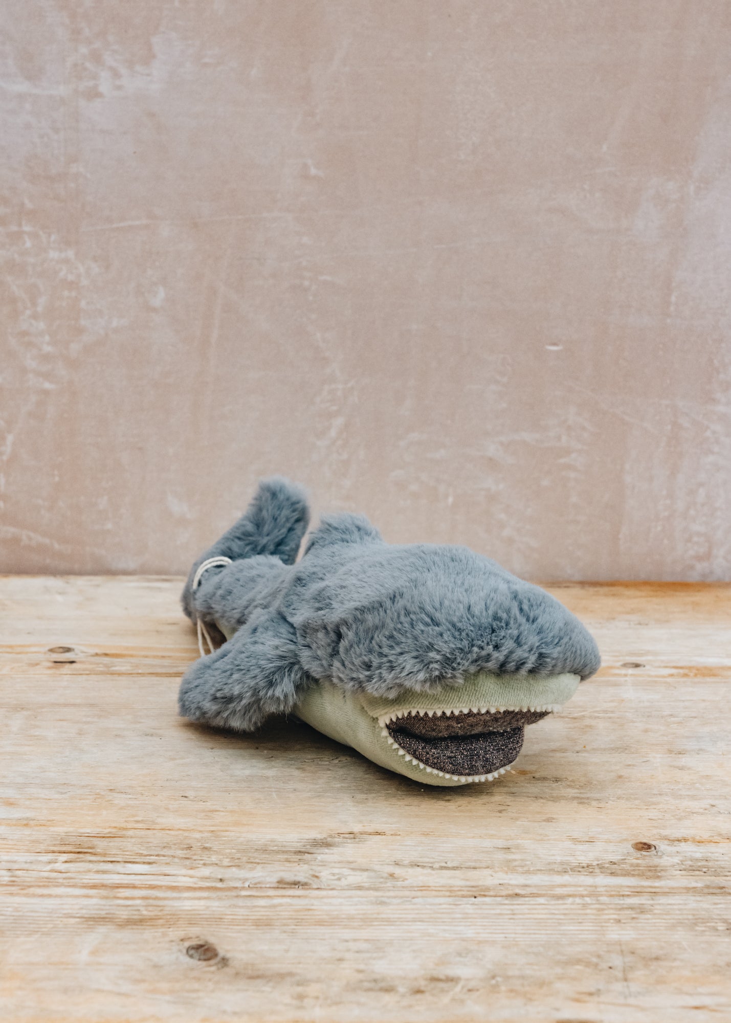 Small Shark