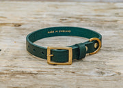 Tankerton Dog Collar in Bottle Green