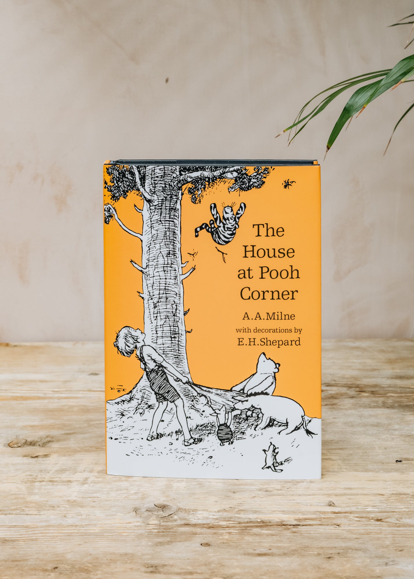 The House at Pooh Corner