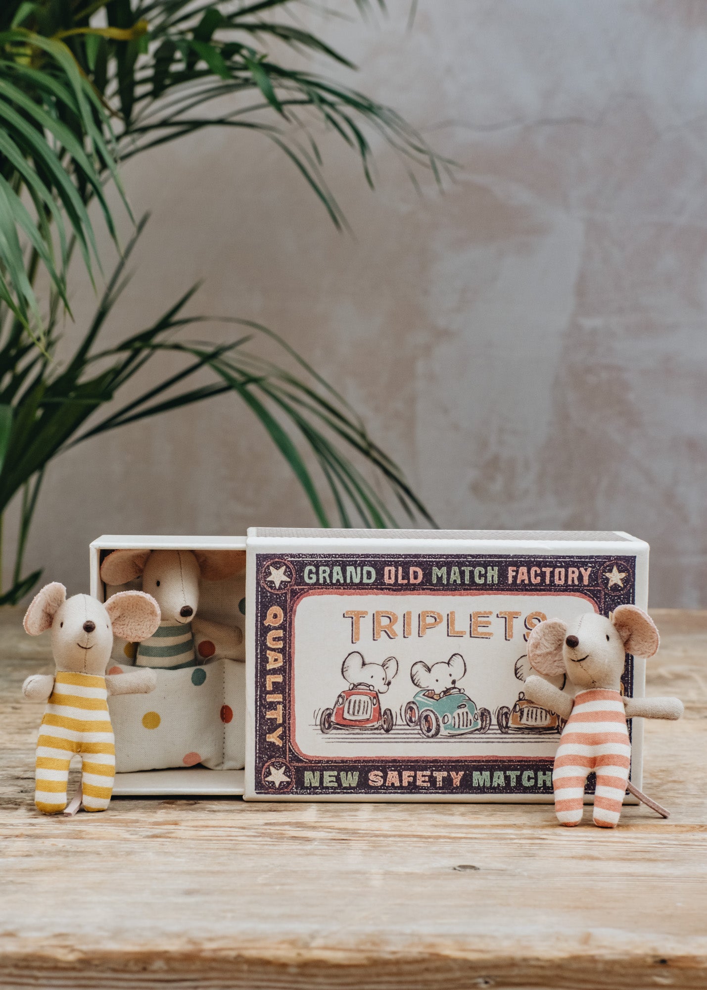 Triplet Baby Mice in Matchbox