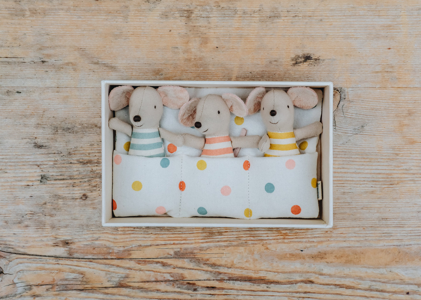 Triplet Baby Mice in Matchbox