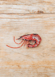 True Shrimp Brooch